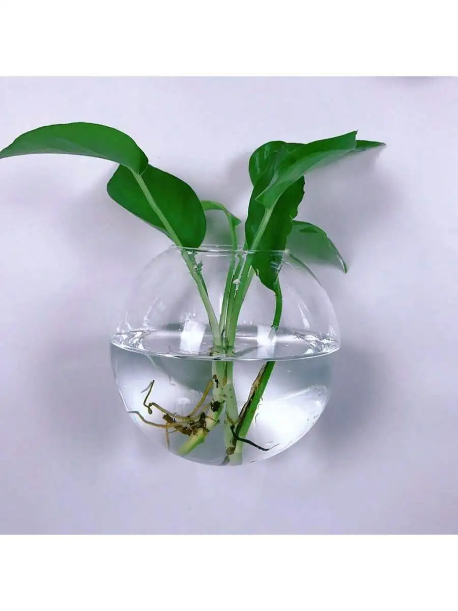 Terrário de Vidro