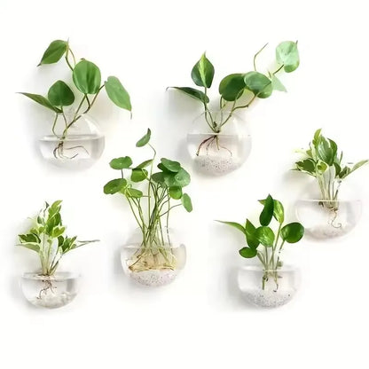 Terrário de Vidro
