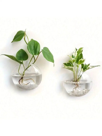 Terrário de Vidro
