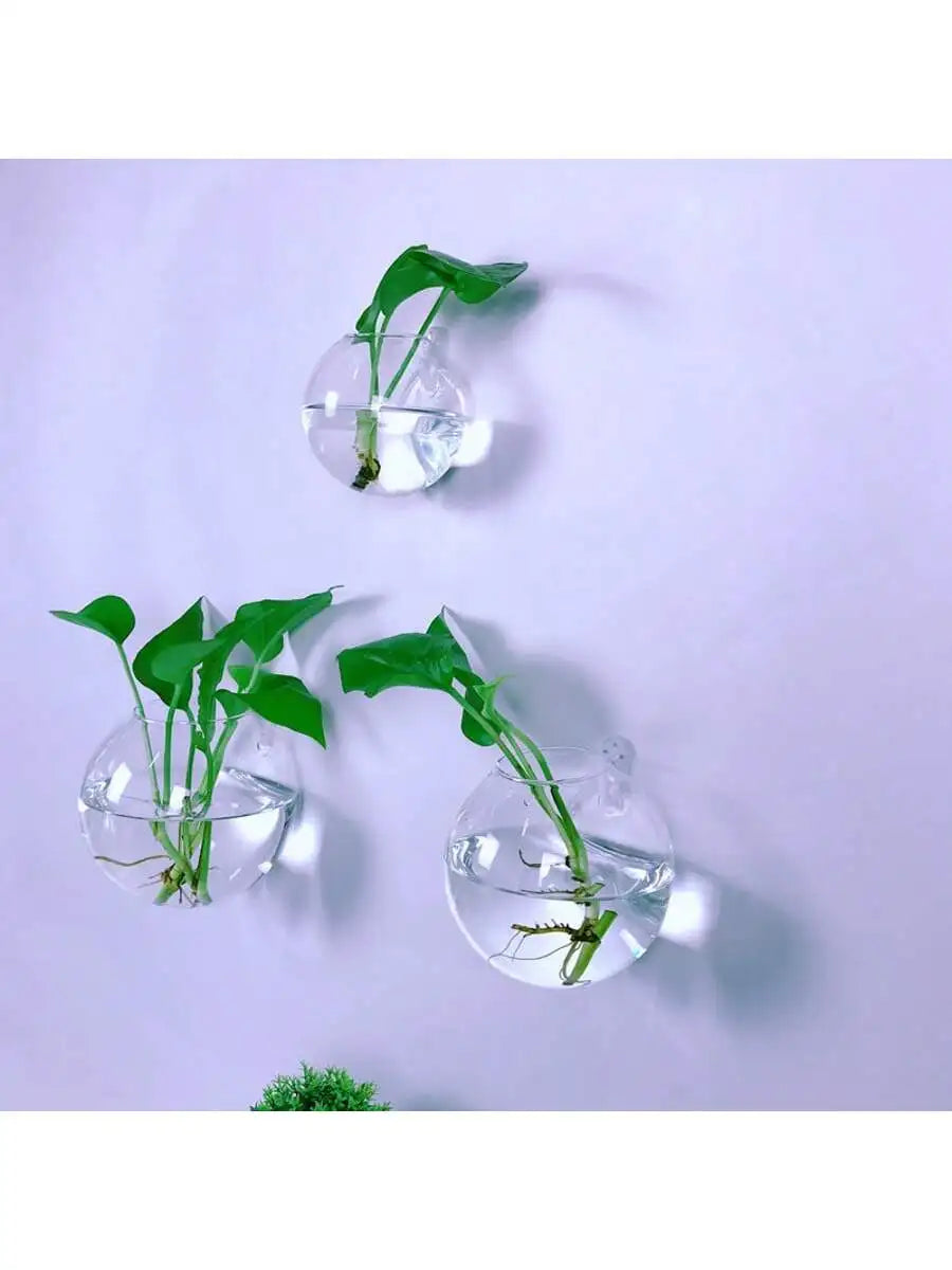 Terrário de Vidro