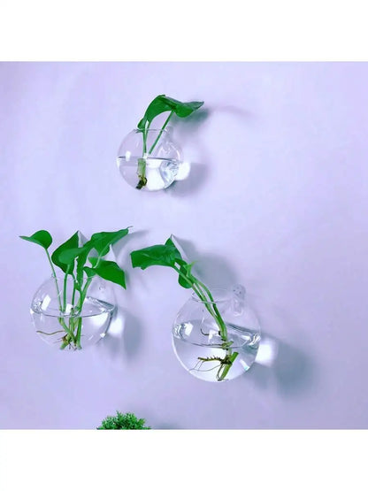 Terrário de Vidro
