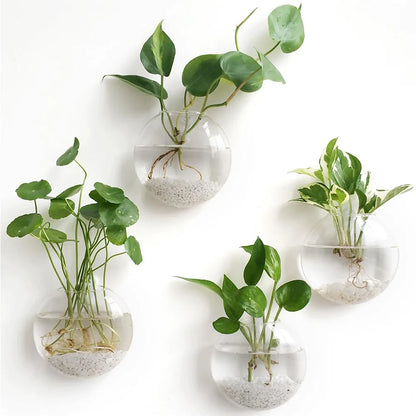 Terrário de Vidro