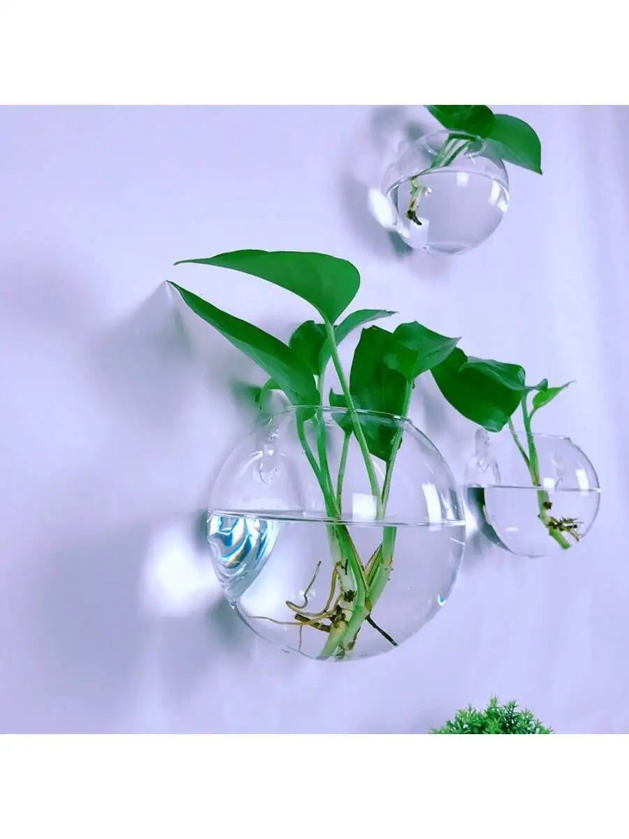 Terrário de Vidro