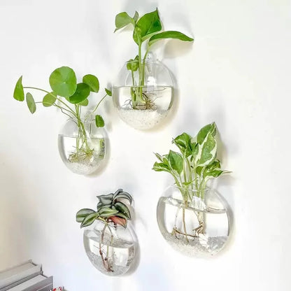 Terrário de Vidro